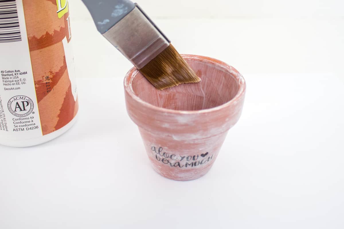 Painting Aloe You Vera Much Pot with Mod Podge