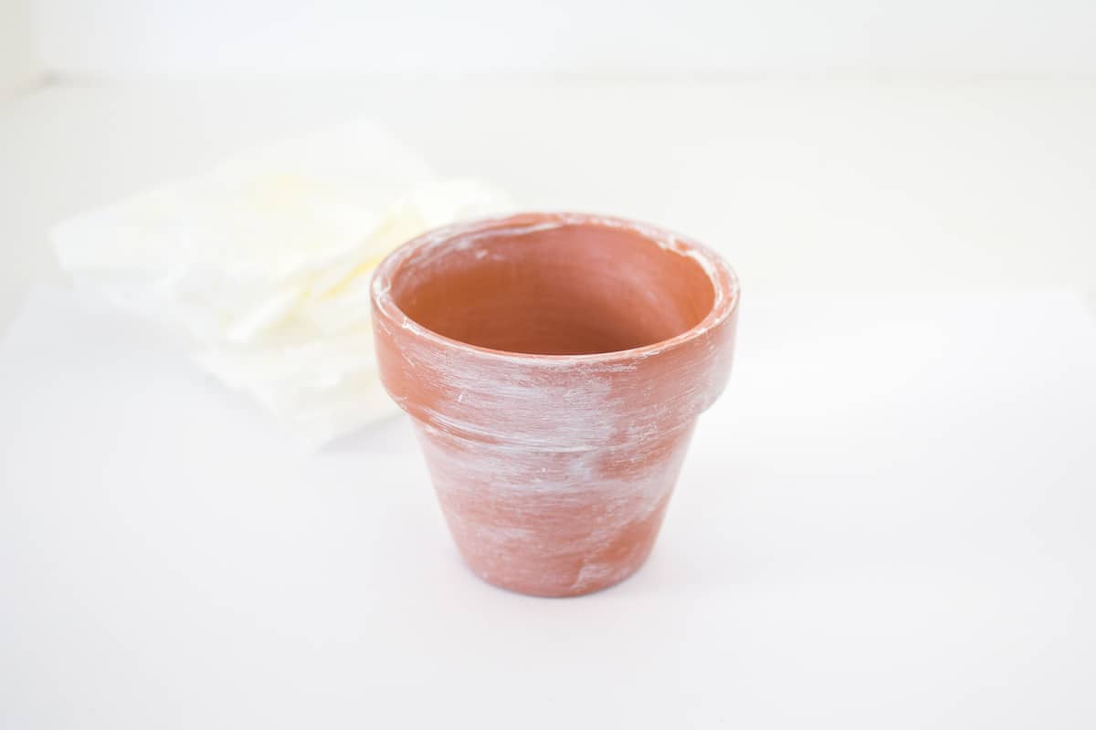 Small chalky terracotta pot
