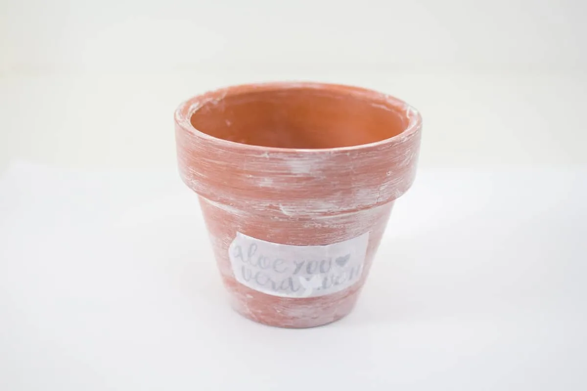 Terracotta planter with design print out dampened