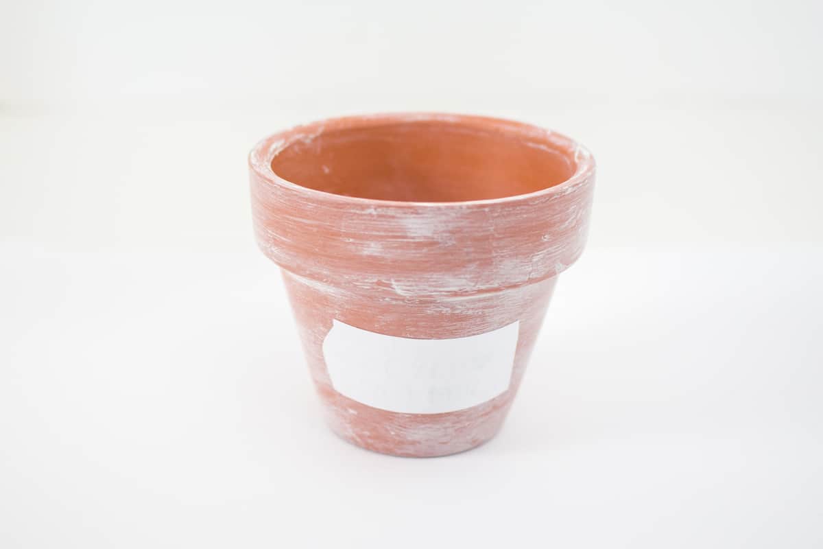 Terracotta planter with print out attached