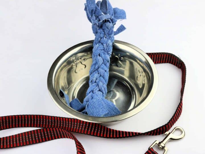 Denim Dog Toy in water bowl with leash