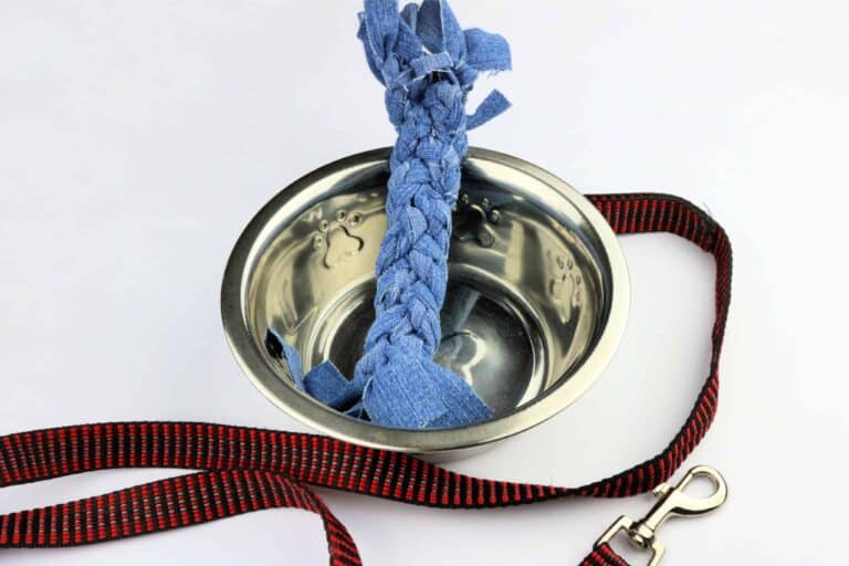 Denim Dog Toy in water bowl with leash