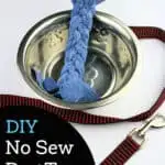 handmade dog toy in pet bowl with red leash nearby
