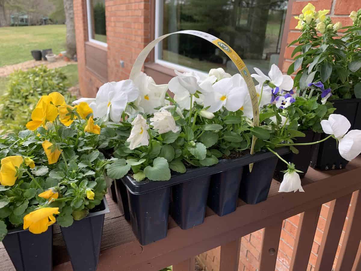 10 Surprising Ways to Find Large Cheap Planters For Your Garden - Money  tips for moms