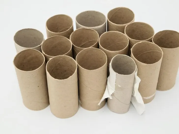 toilet paper tubes on white background