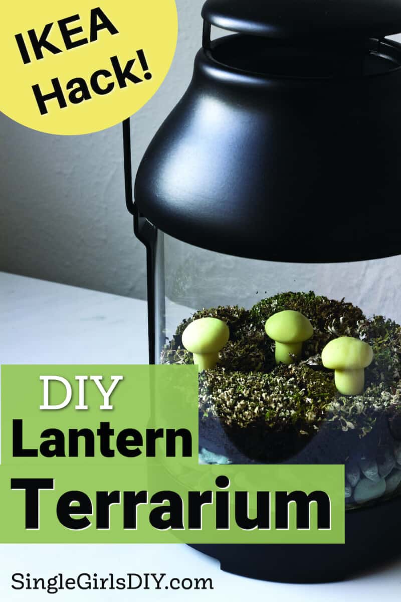 moss terrarium with mushrooms in a lantern