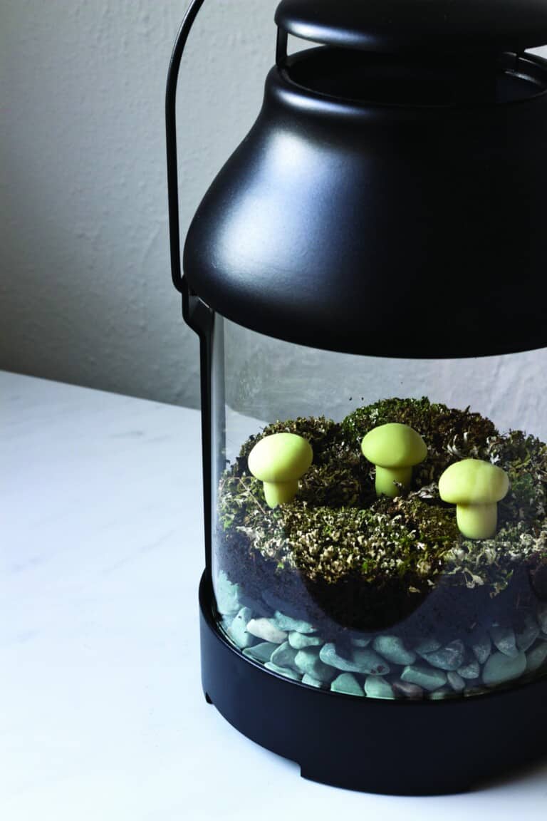 diy moss terrarium in IKEA lantern
