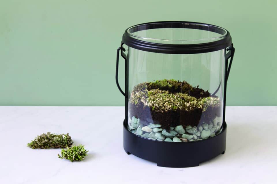 DIY Lantern Terrarium IKEA Hack Single Girl's DIY