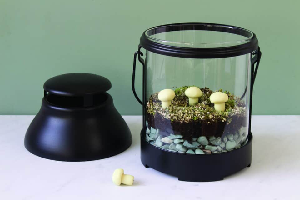 DIY Lantern Terrarium IKEA Hack Single Girl's DIY