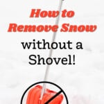 shovel in snow