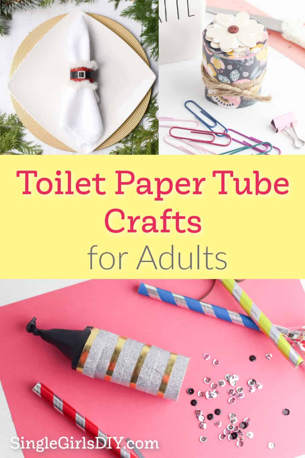Toilet Paper Tube Crafts for Adults Single Girl's DIY