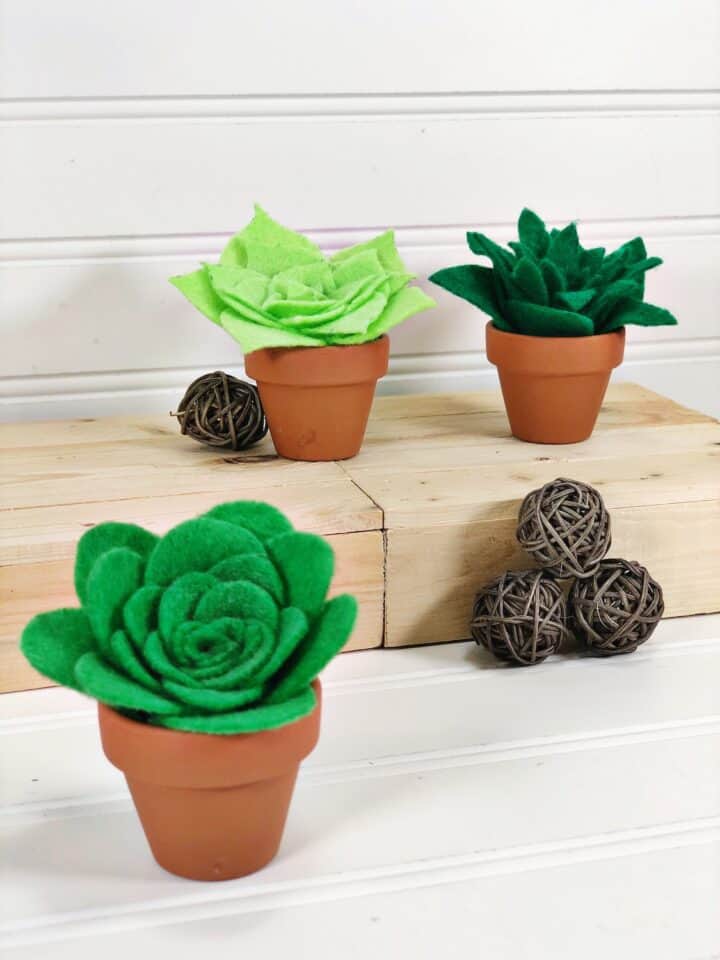 DIY Miniature Felt Succulents in Pots Single Girl's DIY