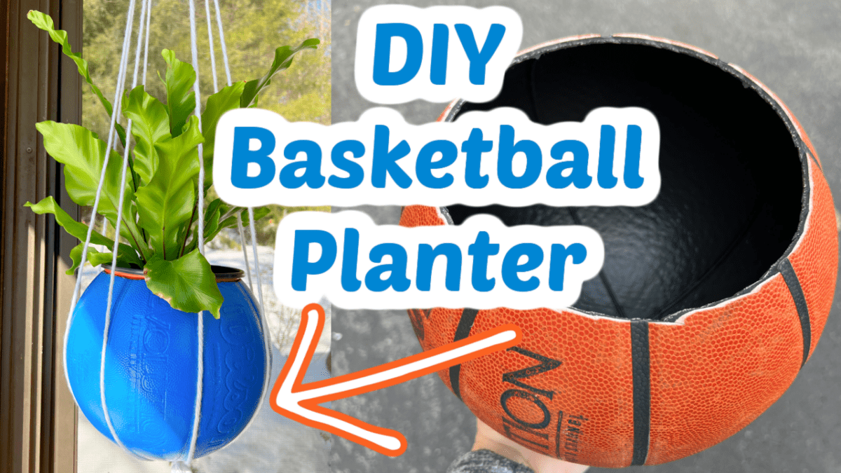 DIY Upcycled Freezer Basket Planter - Jasey's Crazy Daisy
