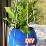 hanging basketball planter with a green plant inside