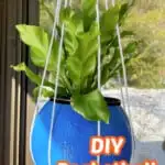 hanging basketball planter with a green plant inside