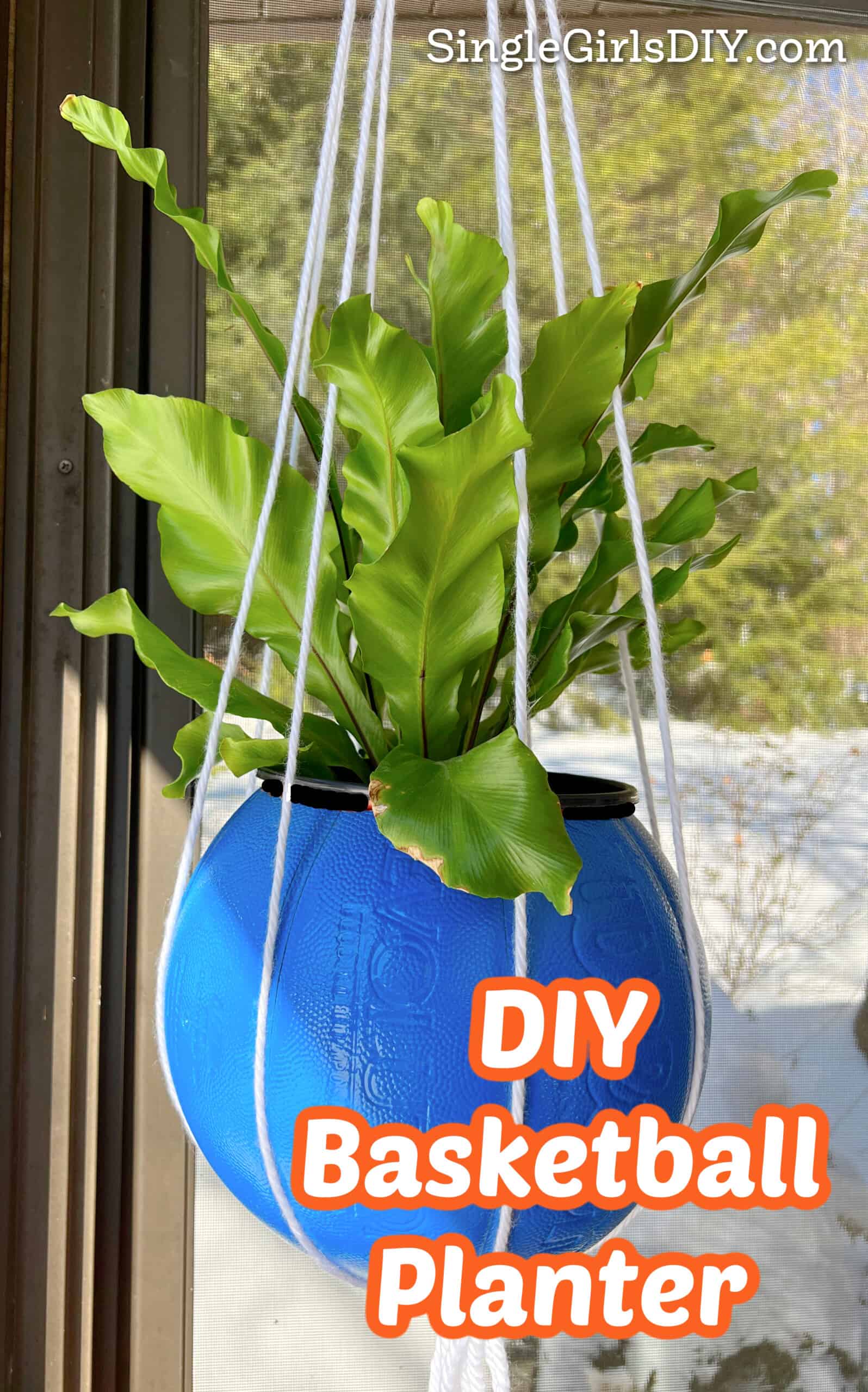 DIY Basketball Planter Single Girl's DIY