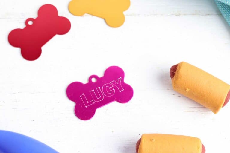 custom etched pink dog tag with name Lucy