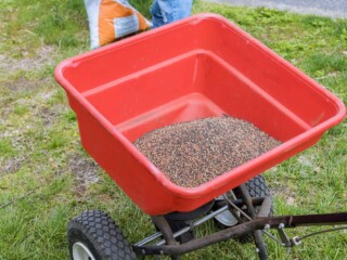 red salt spreader tool filled with grass seed