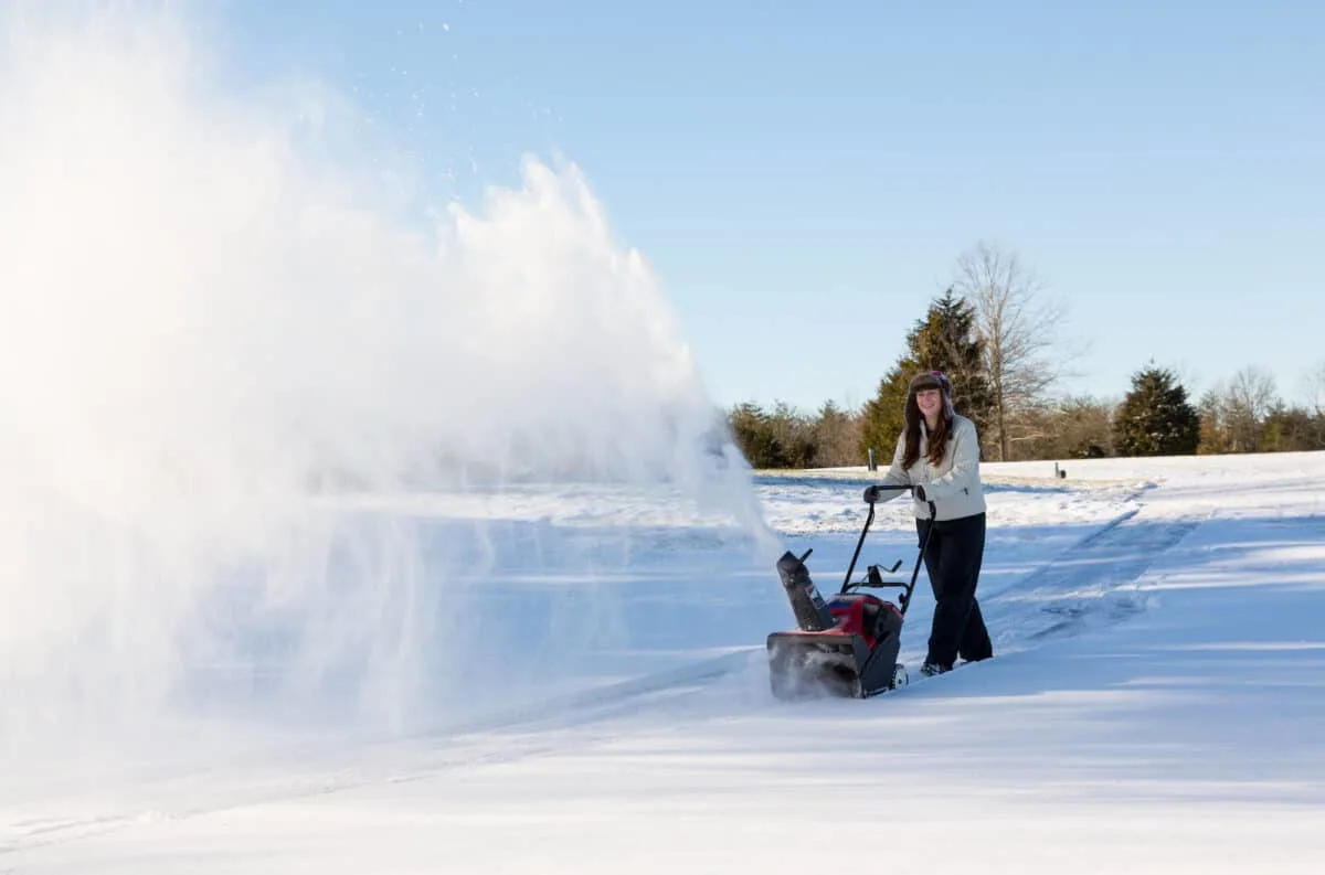 Is It Better To Buy A Snowblower Online Or In-store?