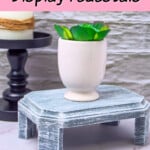 handmade display pedestal from dollar tree supplies with faux succulent plant on top