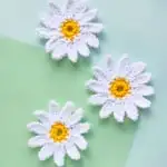 finished crocheted daisy flowers on green background