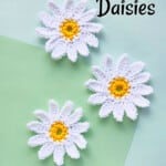 crocheted daisies on green background