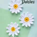 crocheted daisies on green background