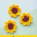 three crocheted sunflowers on green background with yellow title