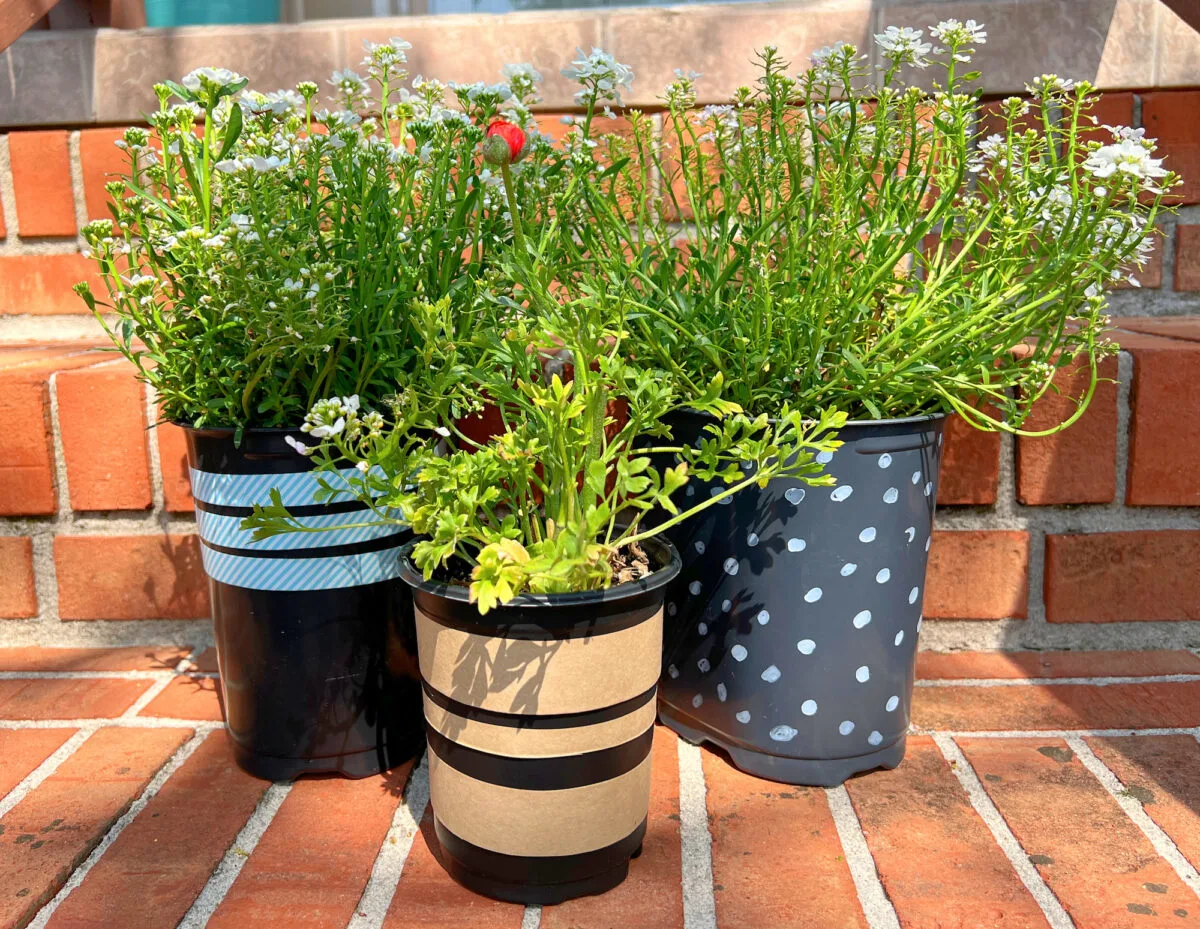 The 25 Cutest Pots And Planters For All Of That Gardening You're Doing