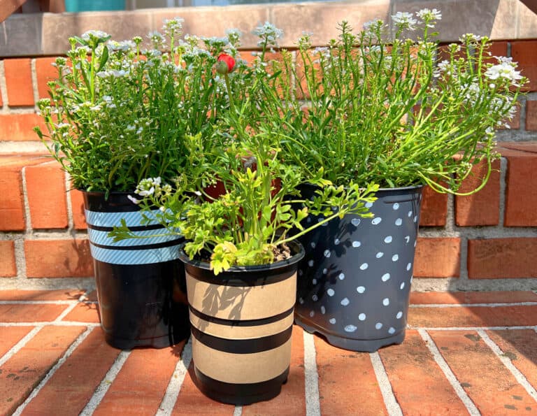decorated black plastic pots with plants on brick stair