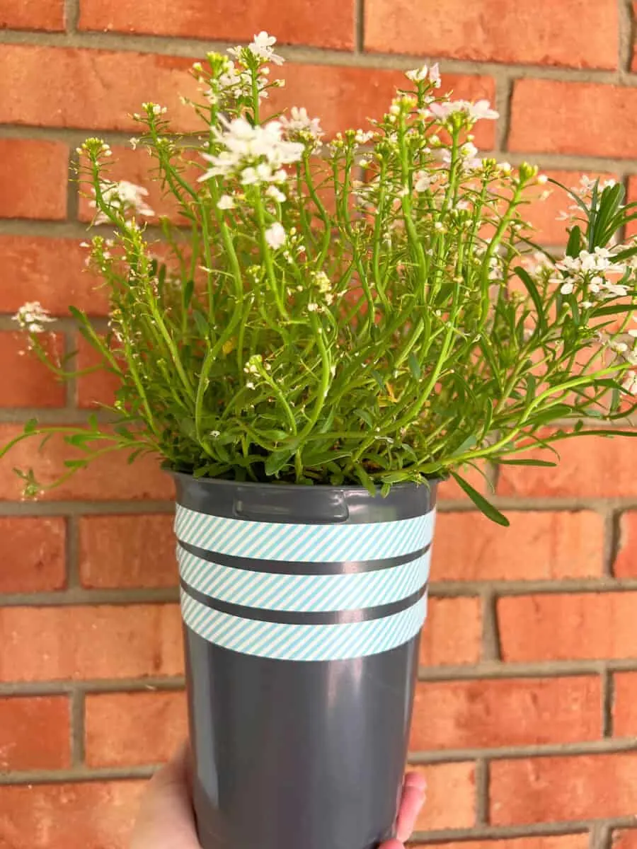 Hot Glue Textured Flower Pots