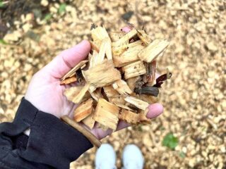 woman's hand holding wood chips