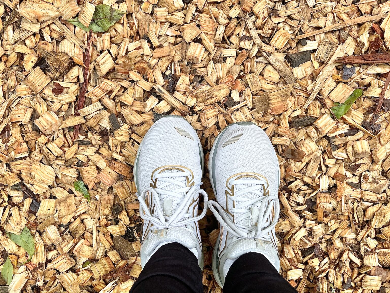 How to Get Free Wood Chips for Mulch Single Girl's DIY