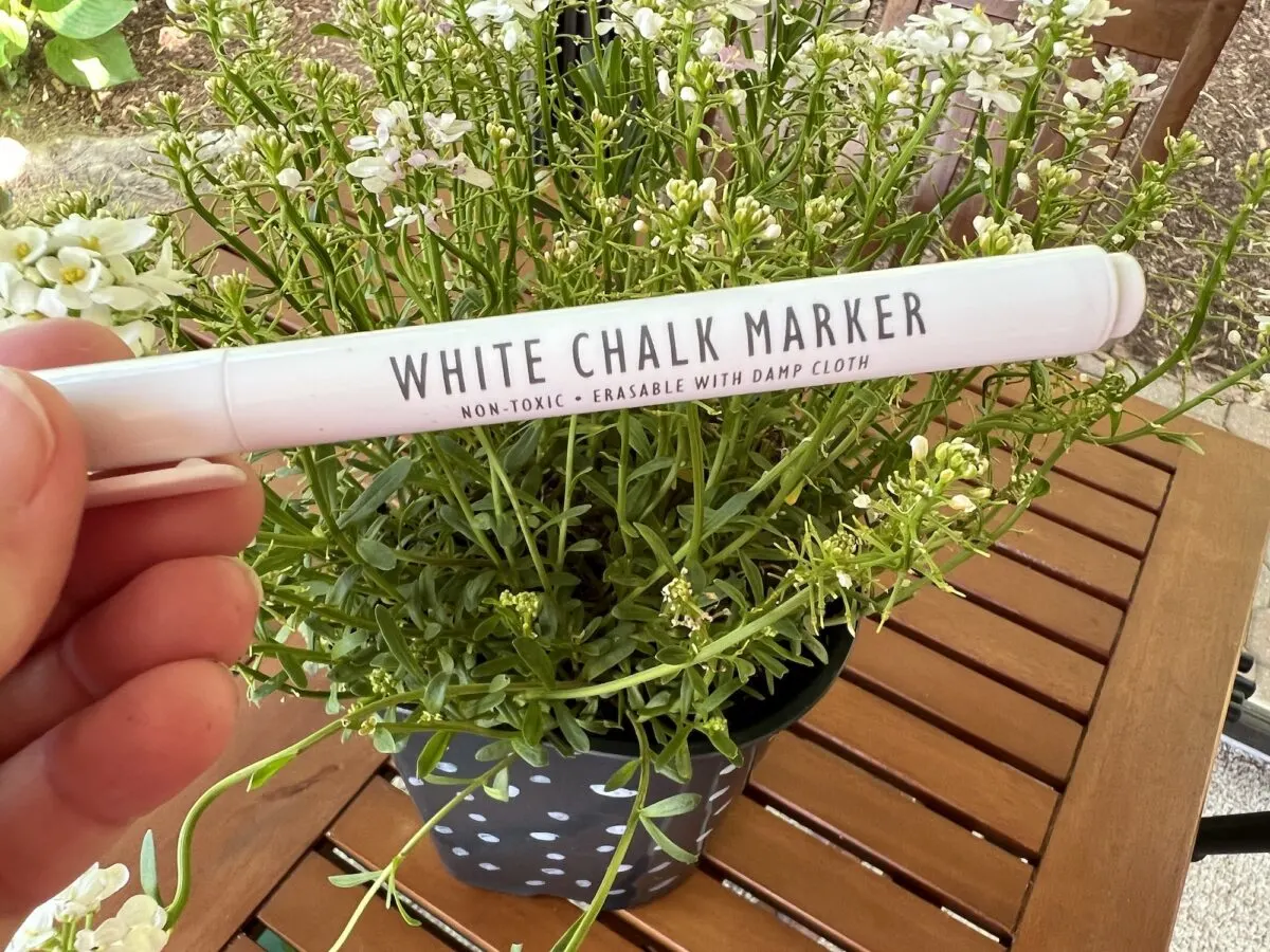 https://singlegirlsdiy.com/wp-content/uploads/2022/05/white-chalk-marker-for-decorating-plant-pot-1200x900.jpeg.webp