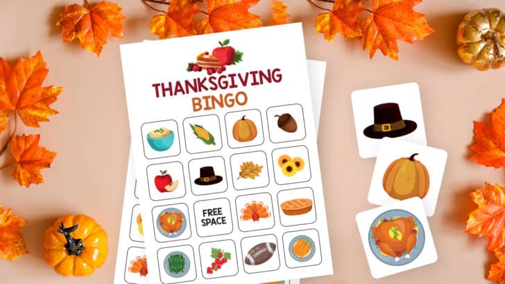 Free Thanksgiving Bingo Printable - Single Girl's DIY