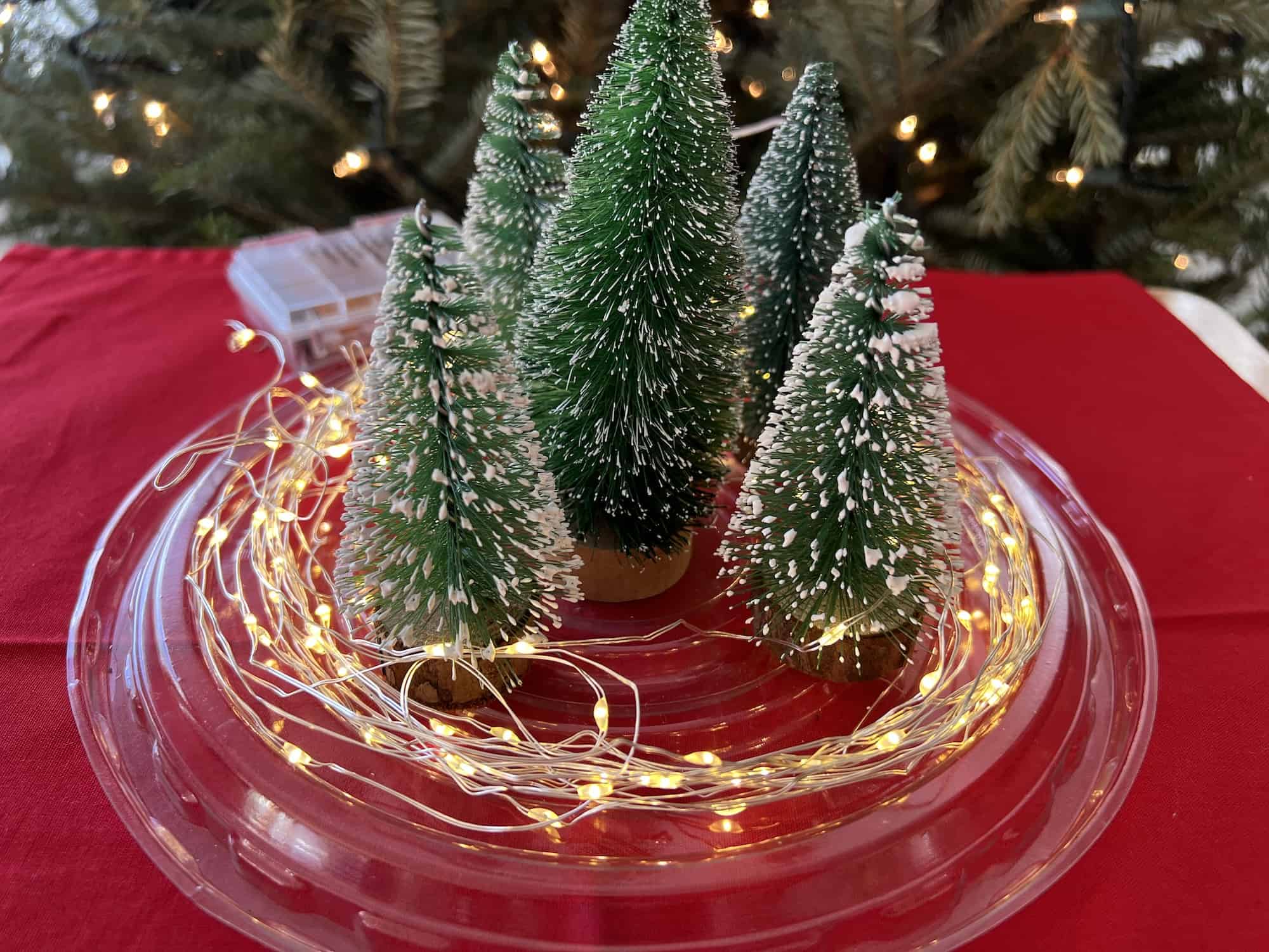 DIY Fairy Light Snowglobe Centerpiece for Christmas Single Girl's DIY
