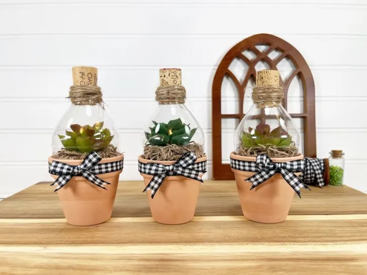 A butcher block base with a white shiplap background shows three finished terrariums with black and white ribbon.