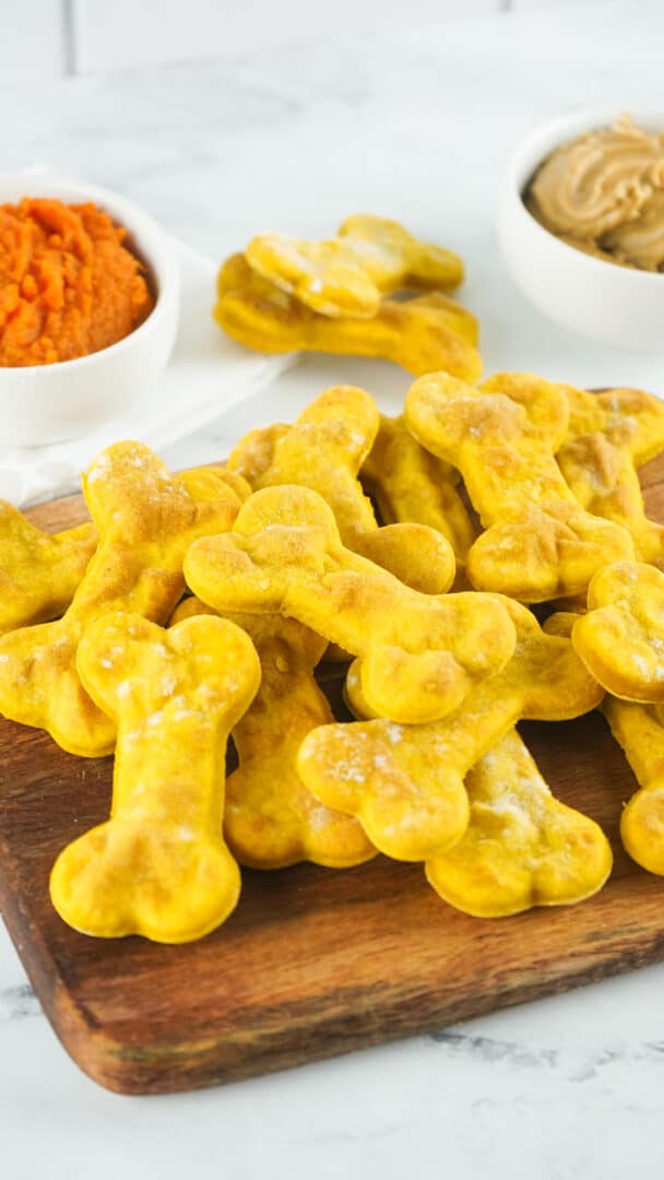 Air Fryer Dog Treats Single Girl's DIY