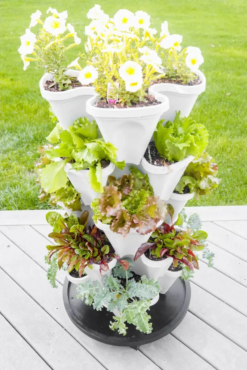 Planting A Garden Vase In 3 Easy Steps