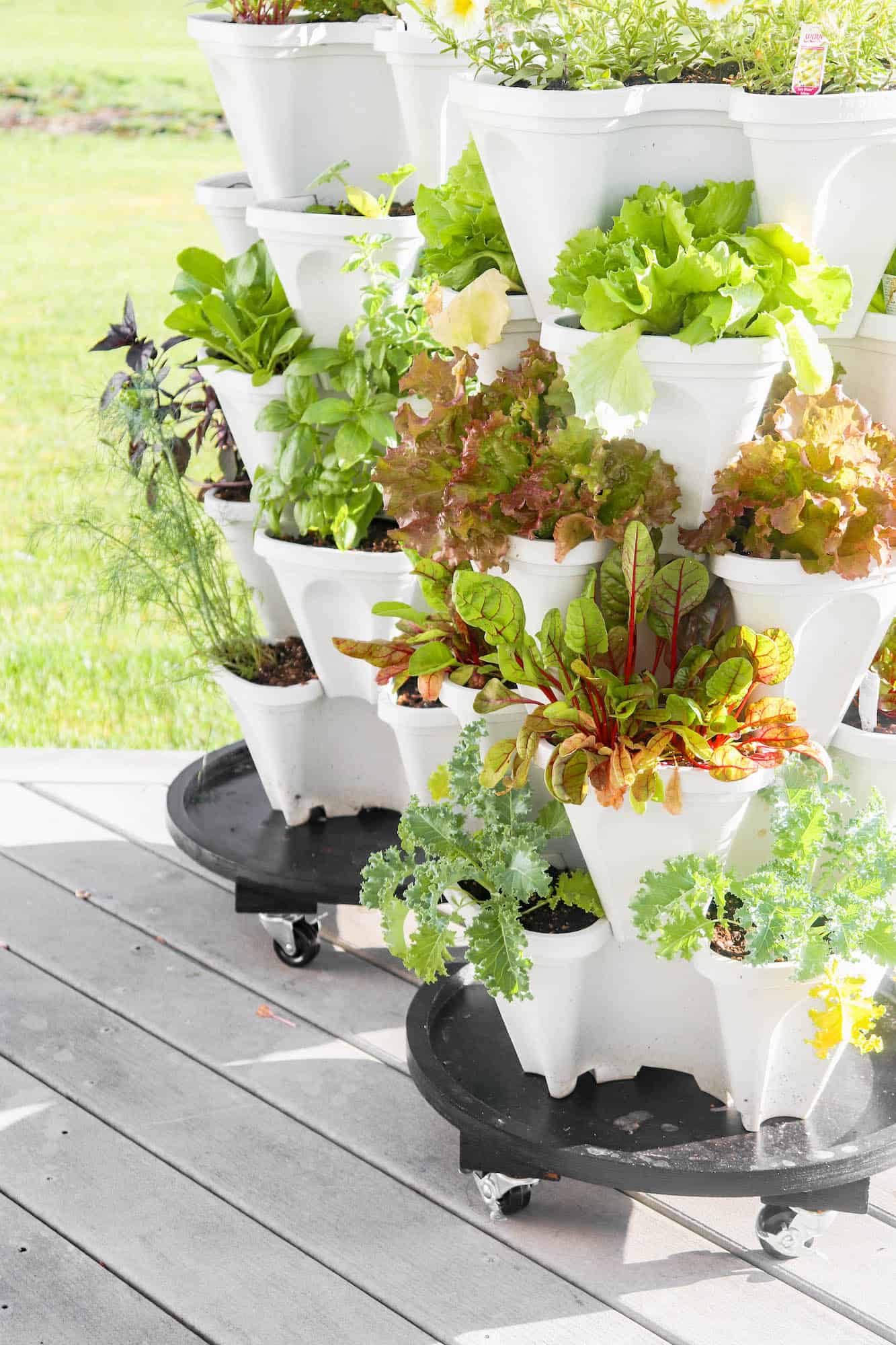 DIY Plant Caddy Rolling Plant Base With Wheels Single Girl's DIY