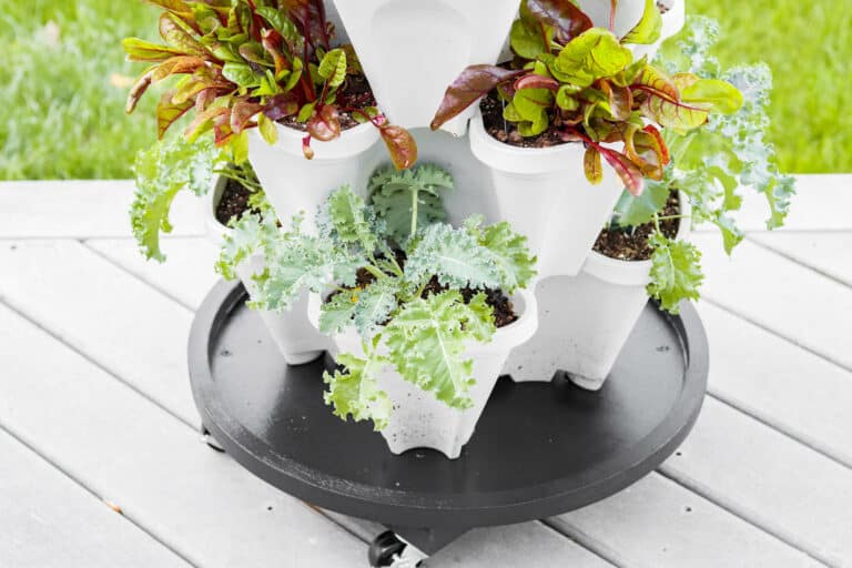 Finished rolling plant stand with planters full of green plants