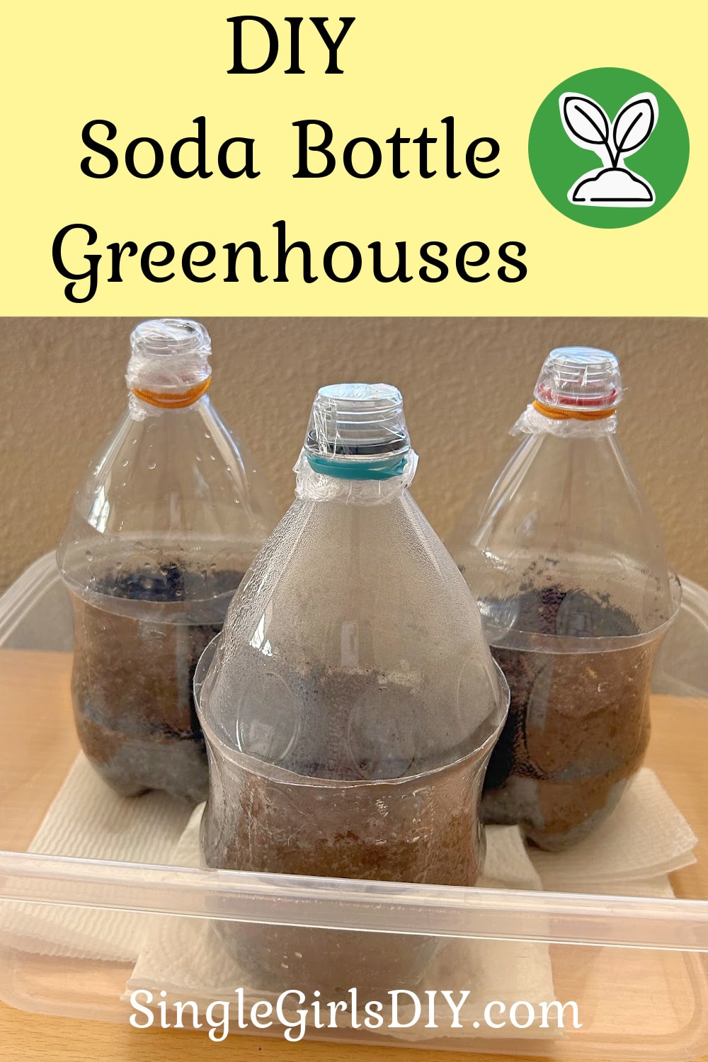 DIY Soda Bottle Greenhouse How to Start Seeds in a 2 Liter Plastic