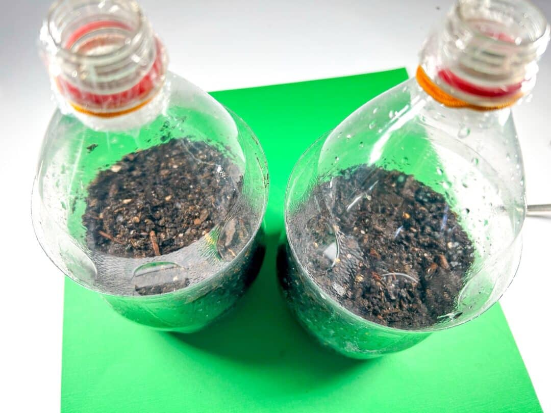 DIY Soda Bottle Greenhouse How to Start Seeds in a 2 Liter Plastic