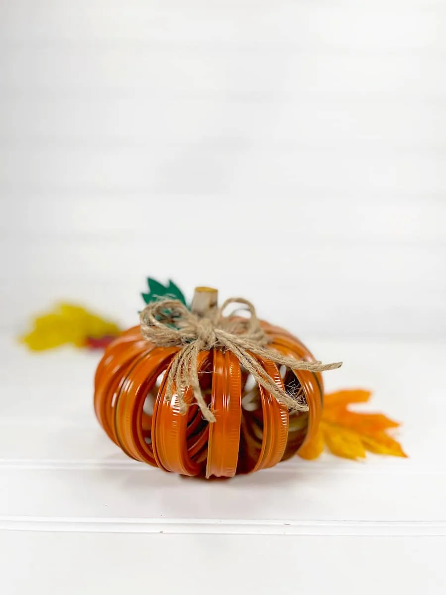 Canning Ring Pumpkin on a white backdrop with leaves