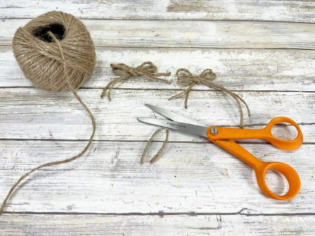 A pair of scissors and twine on a table.