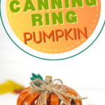 Cute canning ring pumpkin craft.