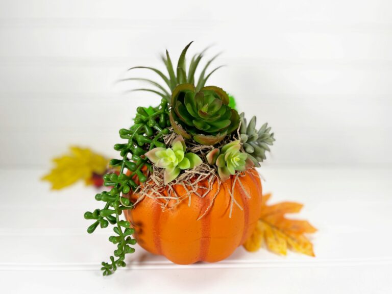 Succulent Pumpkin (Dollar Tree DIY)