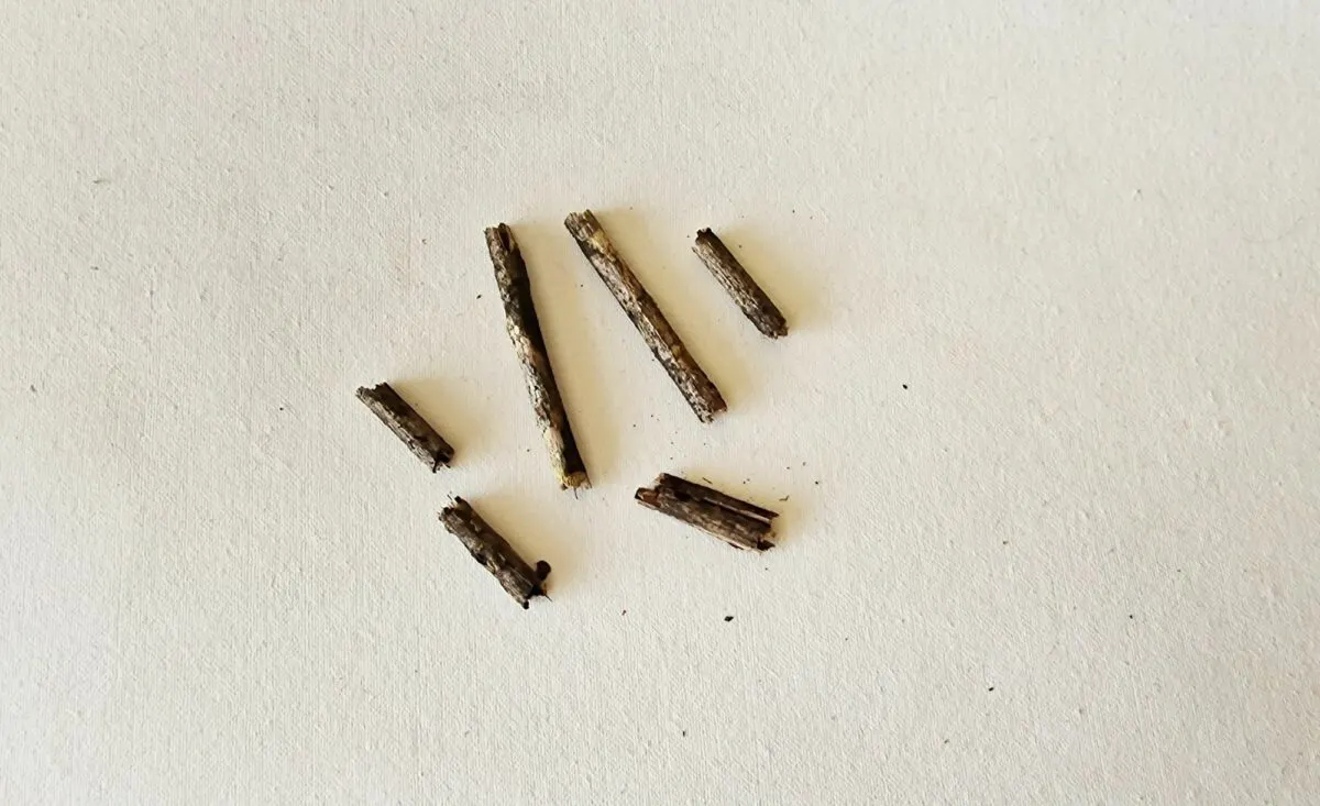 A group of sticks on a white surface.