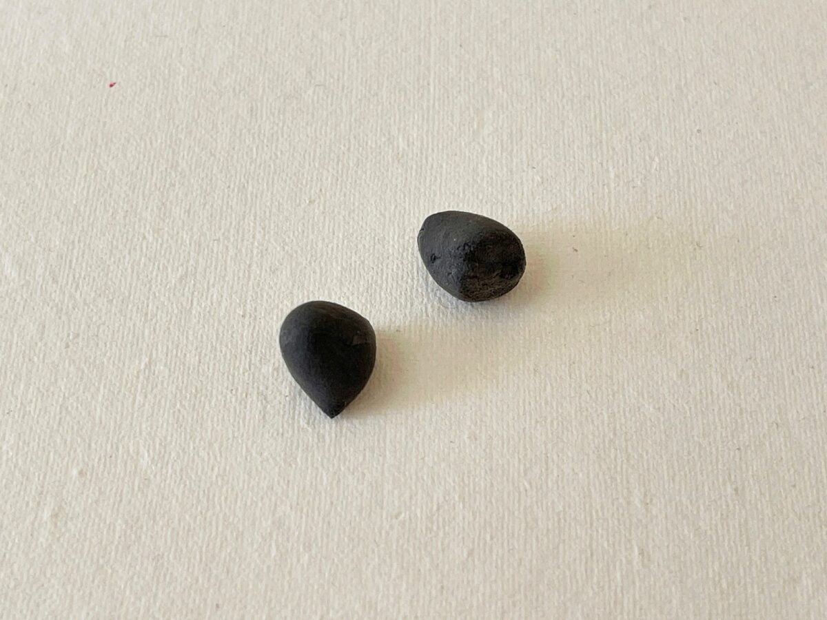 Two small black stones on a white surface.