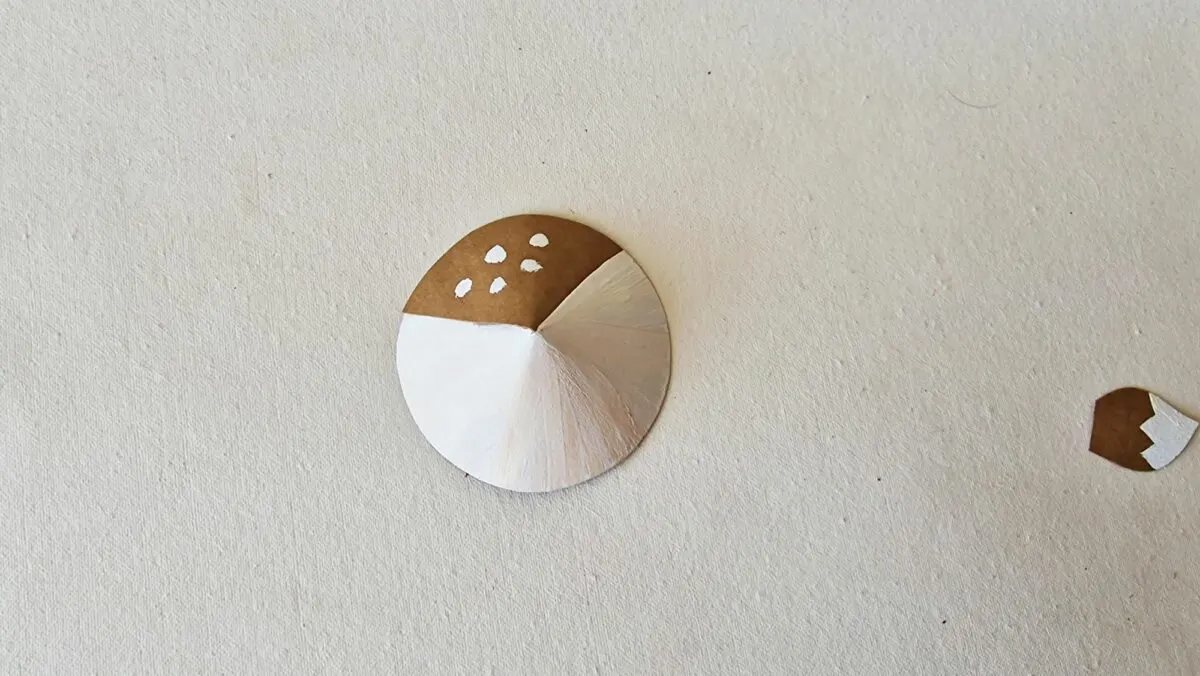 A white and brown shell with a hole in it.